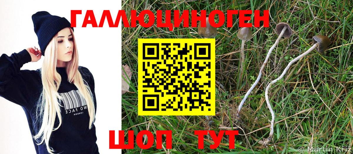 Псилоцибиновые грибы мухоморы  Галлюциногенные грибы прущие грибы  Вольск  Вход с VPN 