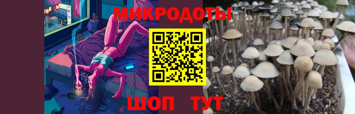 Галлюциногенные грибы ЛСД Вольск
